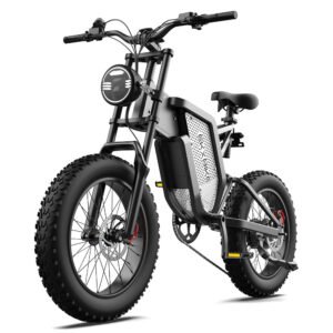 EKX X20 Electric Bike Mountain Moped